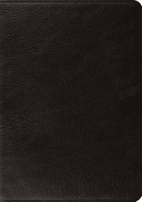 Picture of ESV Systematic Theology Study Bible (Black)