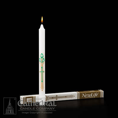 Picture of New Life RCIA Candle