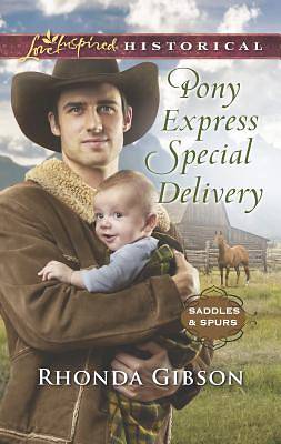 Picture of Pony Express Special Delivery