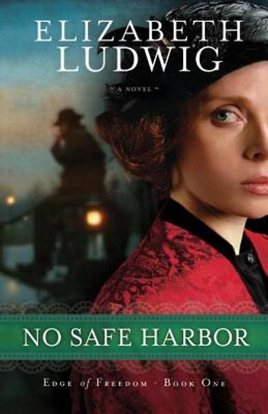 Picture of No Safe Harbor - eBook [ePub]