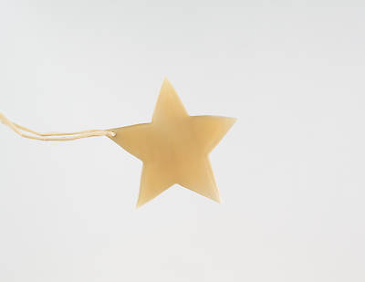 Picture of Cow Horn Star Ornament Small