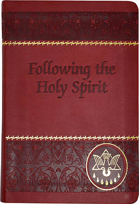 Picture of Following the Holy Spirit