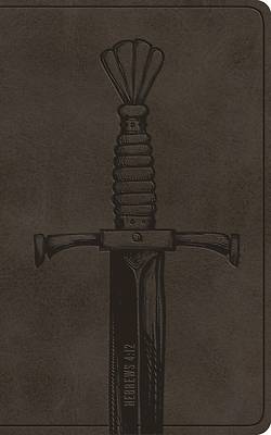 ESV Vest Pocket New Testament with Psalms and Proverbs, Red Letter (Trutone, Silver, Sword Design)