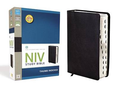 Picture of New International Version Study Bible