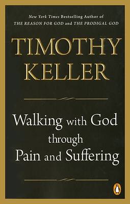 Picture of Walking with God Through Pain and Suffering