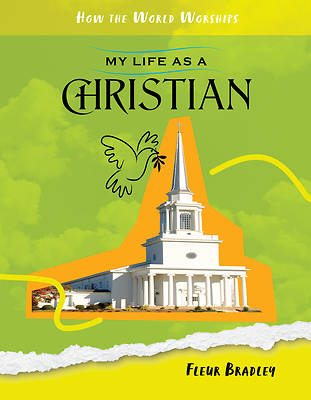 Picture of My Life as a Christian