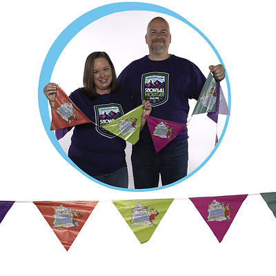 Picture of VBS 2026 Snowball Mountain Challenge Logo String Flags