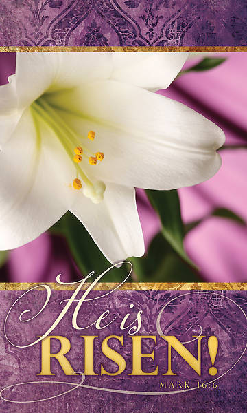 Picture of He is Risen! Easter Lily 3' x 5' Fabric Banner