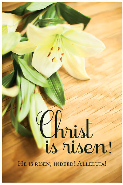 Picture of Christ Is Risen! Easter Lilies Bulletin (Pkg of 50)