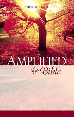 Picture of Amplified Bible