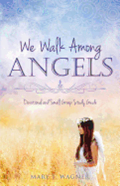 Picture of We Walk Among Angels