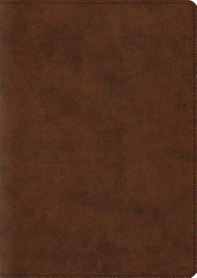Picture of ESV Archaeology Study Bible (Trutone, Brown)