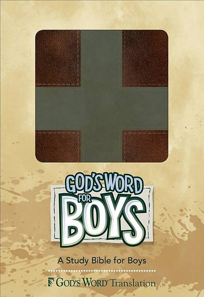 Picture of God's Word for Boys