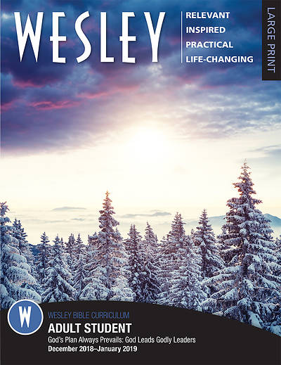 Picture of WESLEY ADULT BIBLE STUDENT LARGE PRINT WINTER