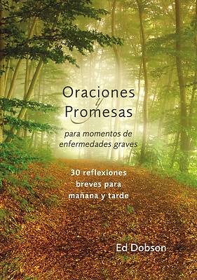 Picture of Oraciones Y Promesas