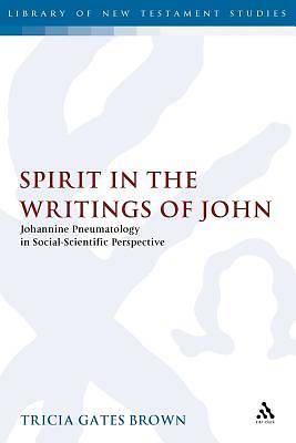 Picture of Spirit in the Writings of John