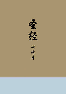 Picture of Chinese Study Bible