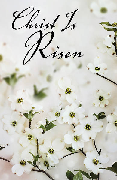 Picture of Christ Is Risen Dogwood Easter Bulletin (Pkg of 50)
