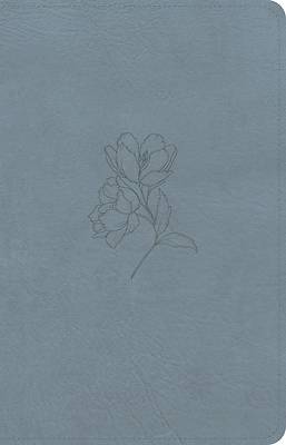 Picture of CSB Personal Size Bible, Digital Study Edition, Blue Leathertouch