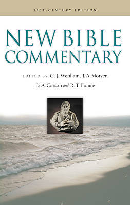 Picture of New Bible Commentary