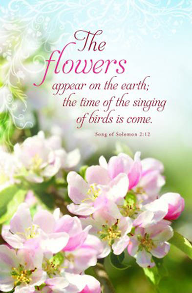Picture of The Flowers Appear on the Earth Bulletin