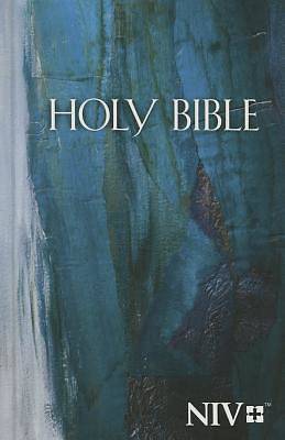 Picture of NIV Economy Bible