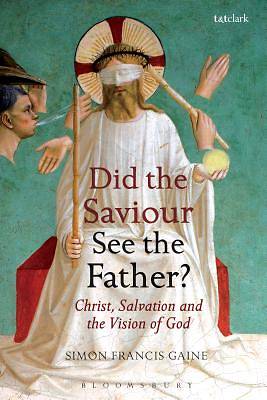 Picture of Did the Saviour See the Father?