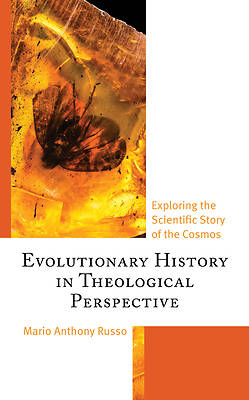 Picture of Evolutionary History in Theological Perspective