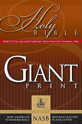 Picture of Giant Print Handy-Size Bible-NASB