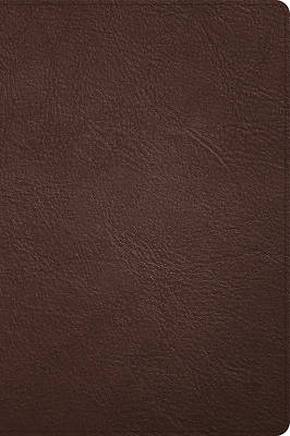 Picture of CSB Large Print Thinline Bible, Holman Handcrafted Collection, Brown Premium Goatskin