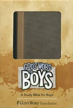 Picture of God's Word for Boys