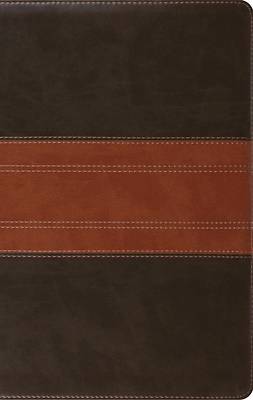 Picture of ESV Large Print Personal Size Bible, Red Letter (Trutone, Forest/Tan, Trail Design)