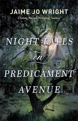 Picture of Night Falls on Predicament Avenue