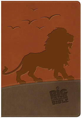 Picture of The NKJV Big Picture Interactive Bible, Lion Leathertouch