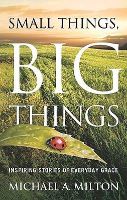 Picture of Small Things, Big Things