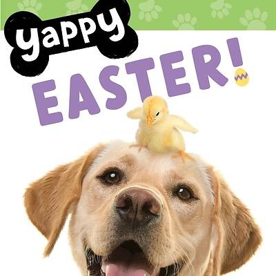 Picture of Yappy Easter!