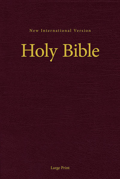 Picture of NIV Holy Bible, Large Print