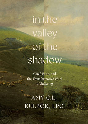 Picture of In the Valley of the Shadow