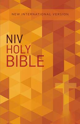 Picture of NIV Outreach Bible