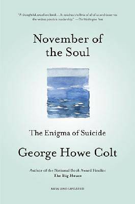 Picture of November of the Soul