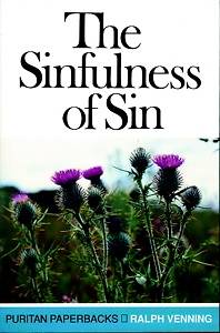 Picture of Sinfulness of Sin