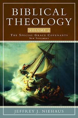 Picture of Biblical Theology, Volume 3