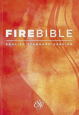 Picture of Fire Bible