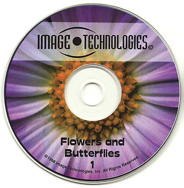 Picture of Image Technologies - Flowers and Butterflies 1