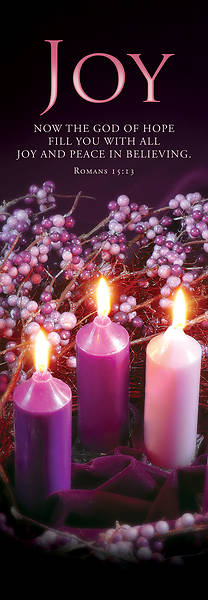 Picture of Banner Joy Advent 2 x 6 Vinyl