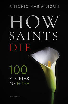 Picture of How Saints Die