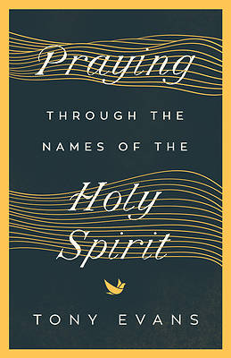 Picture of Praying Through the Names of the Holy Spirit