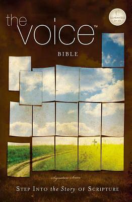Picture of The Voice Bible, Personal Size