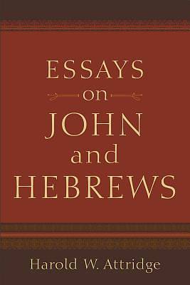 Picture of Essays on John and Hebrews