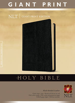 Picture of New Living Translation Holy Bible, Giant Print